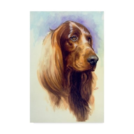 Barbara Keith 'Irish Setter' Canvas Art,22x32